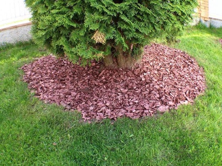 Мульчирование