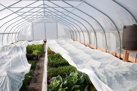 Направление СПАНБОНД