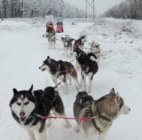 5 день: 28 ноября