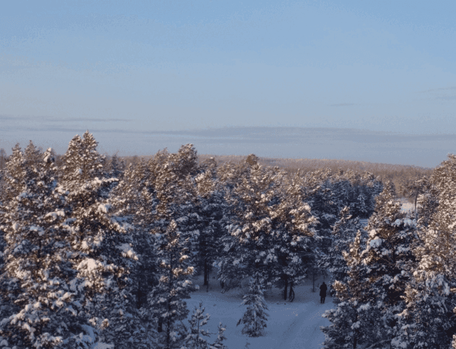 4 день: 27 ноября