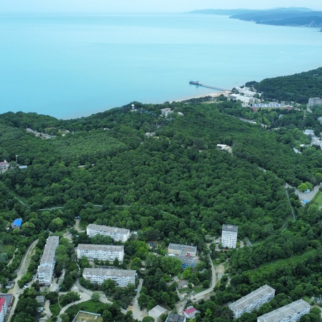 image-0-0