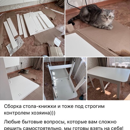 image-5-0