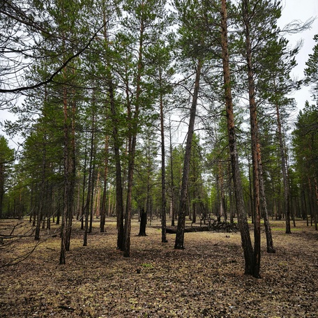 image-1-0