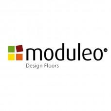 542ecc76-8c94-4019-9814-9a9132738d05-data-logo-logo-moduleo-228x228.jpg