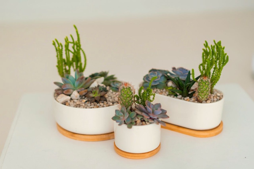 Напишите нам