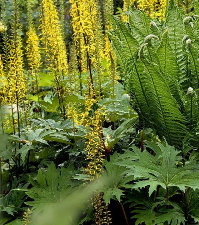 Форма обратной связи