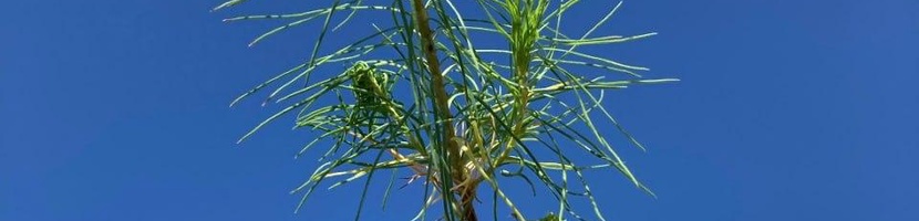 Форма обратной связи