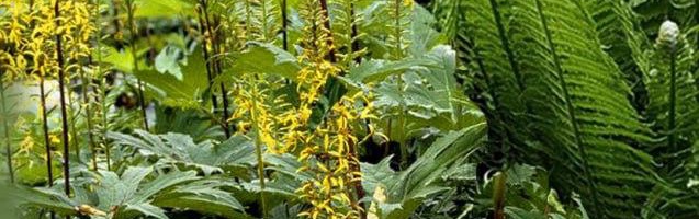 Форма обратной связи