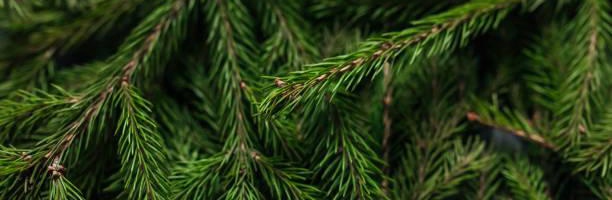 Наши контакты: