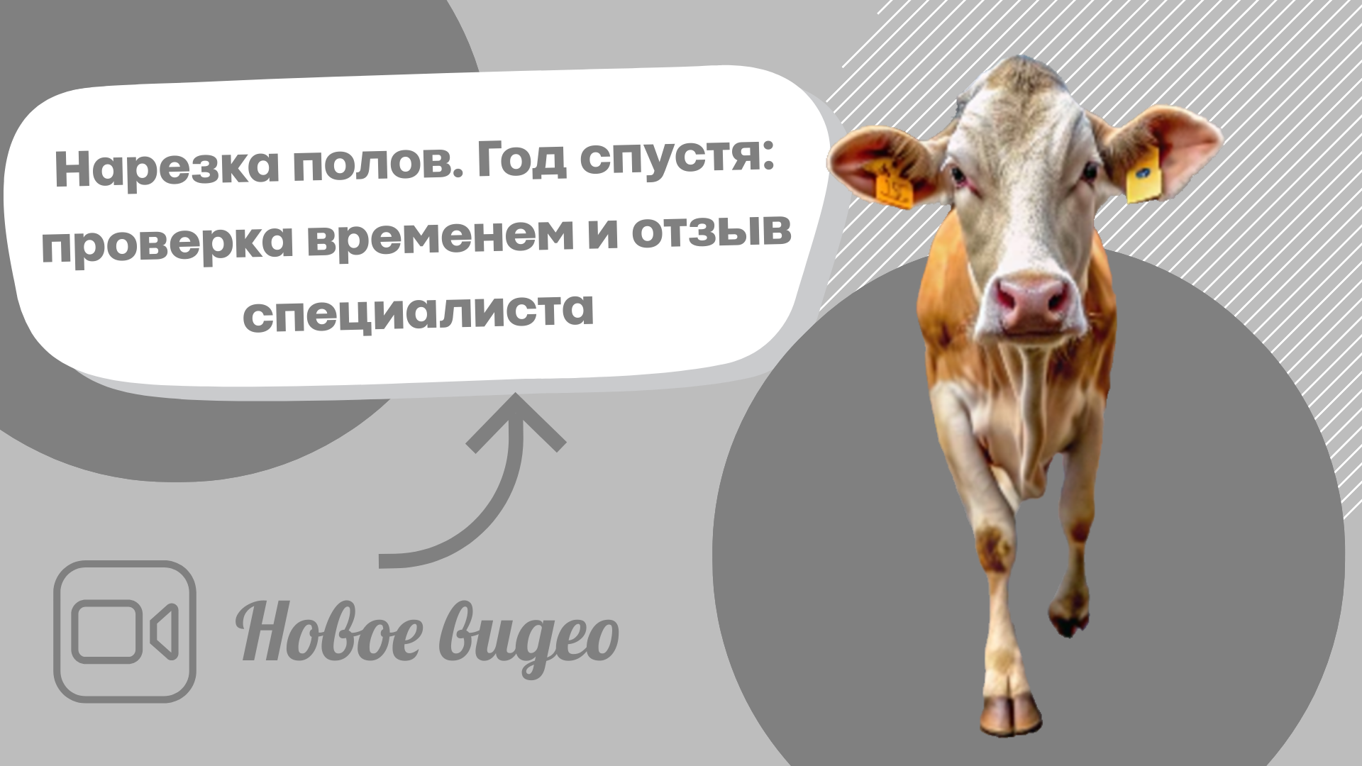 04cc935b-5fd6-4973-98b9-391ceea628d1-4_обложка.png
