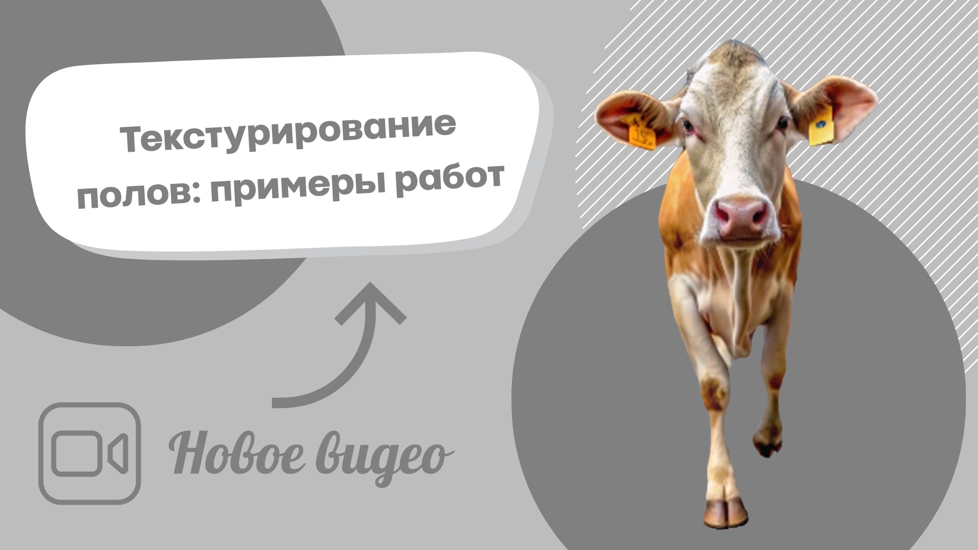 a7593164-833b-4ce2-8946-f74a092d8078-2_обложка.jpg