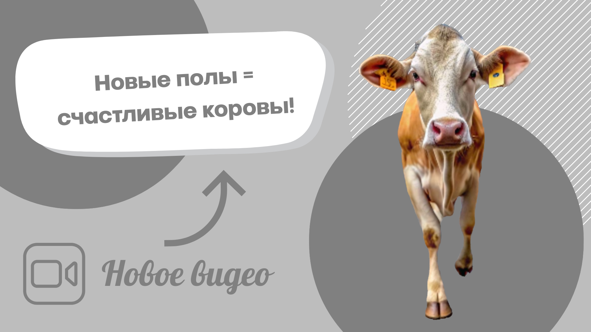 c77fb8e2-7fb7-4642-8dc9-e07e26ef59ae-3_обложка.png