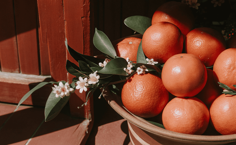gallery-single-pic-1.png