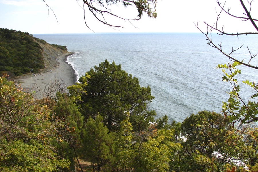 image-5