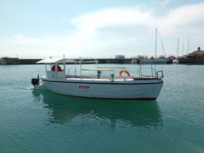 image-2