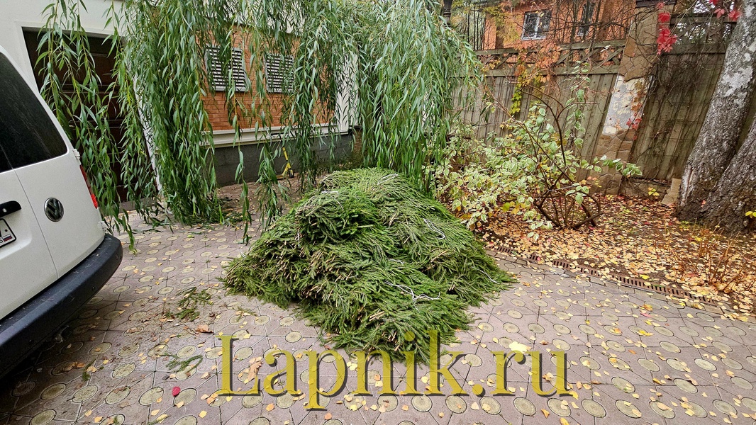 image-3