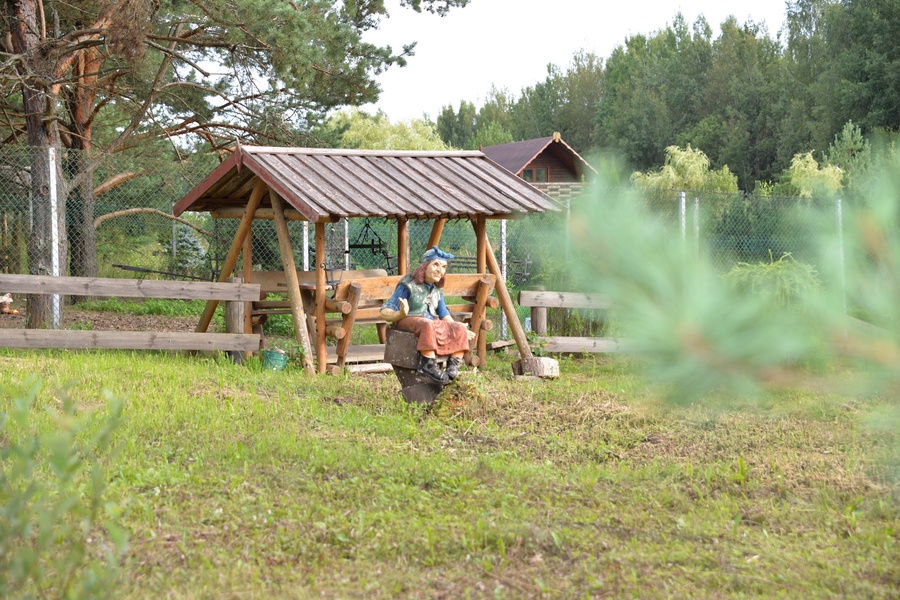 image-4