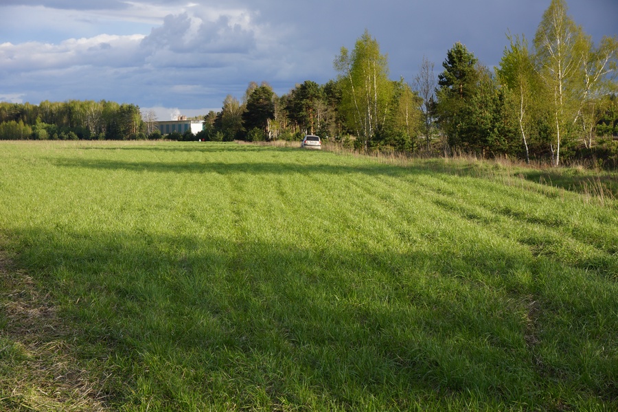 image-4