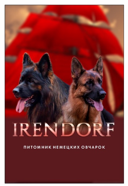 image-5